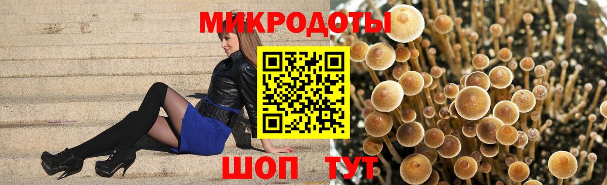 Псилоцибиновые грибы GOLDEN TEACHER Железногорск