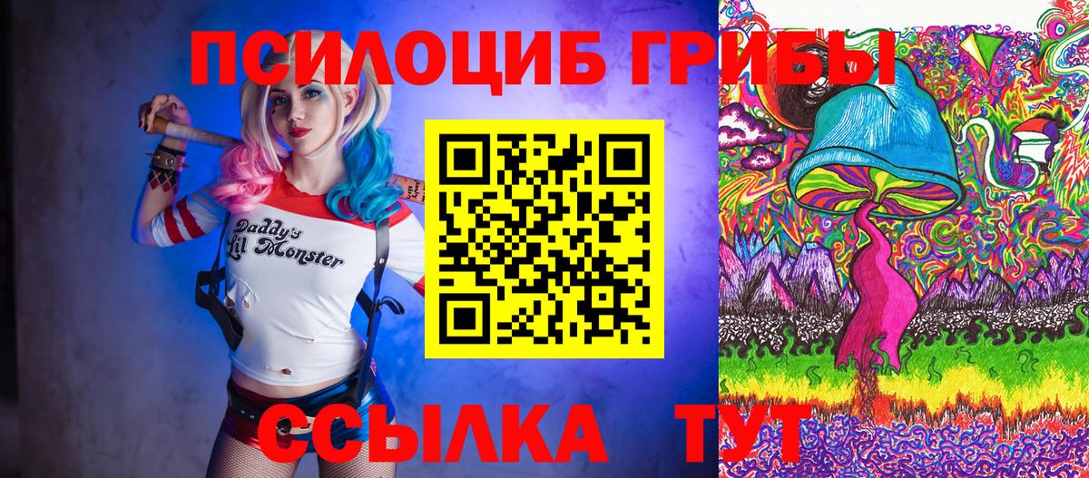 Железногорск  Галлюциногенные грибы MAGIC MUSHROOMS  Вход с VPN 